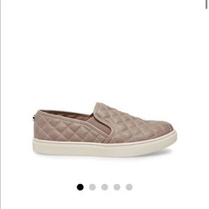 New Steve Madden Ecentrcq Slip Ons